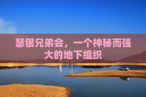 瑟银兄弟会,一个神秘而强大的地下组织 瑟银兄弟会,一个神秘而强大的地下组织