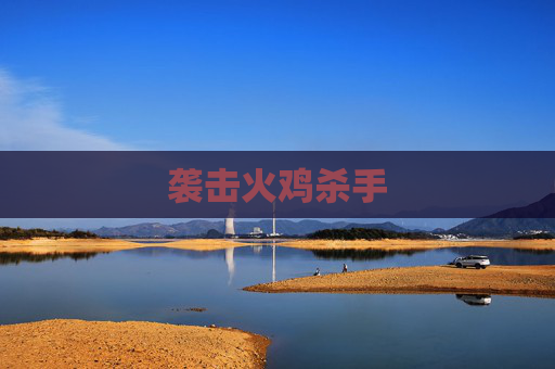袭击火鸡杀手 袭击火鸡杀手