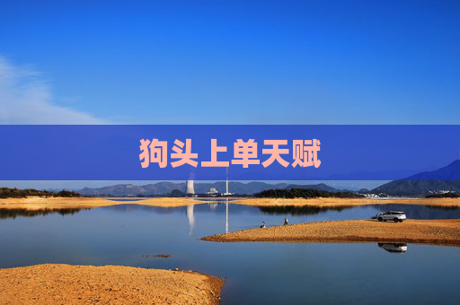 狗头上单天赋