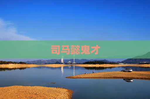 司马懿鬼才