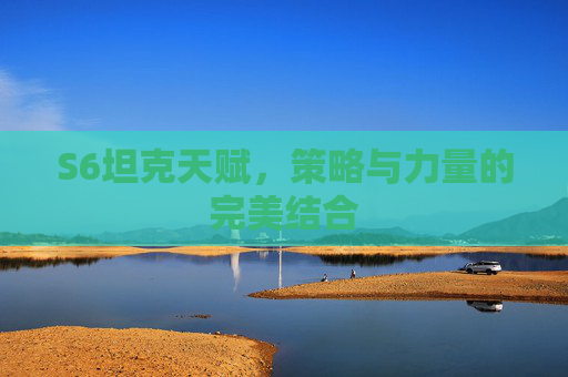S6坦克天赋,策略与力量的完美结合 S6坦克天赋,策略与力量的完美结合