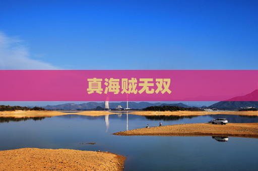 真海贼无双