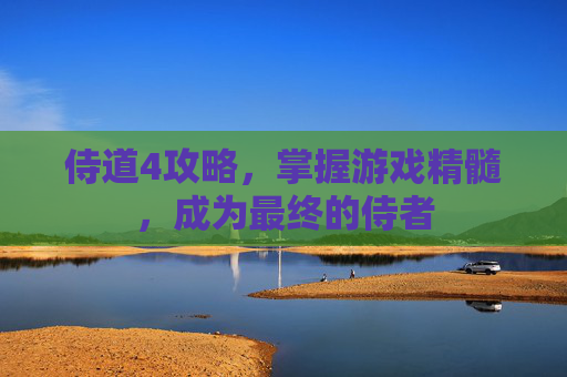 侍道4攻略，掌握游戏精髓，成为最终的侍者