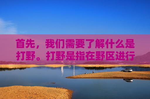 首先,我们需要了解什么是打野。打野是指在野区进行活动,帮助队友获取经验和资源,同时为团队创造优势的选手。打野的位置通常位于地图的边缘,远离主战场,因此需要具备较高的视野控制能力和快速的支援能力 首先,我们需要了解什么是打野。打野是指在野区进行活动,帮助队友获取经验和资源,同时为团队创造优势的选手。打野的位置通常位于地图的边缘,远离主战场,因此需要具备较高的视野控制能力和快速的支援能力