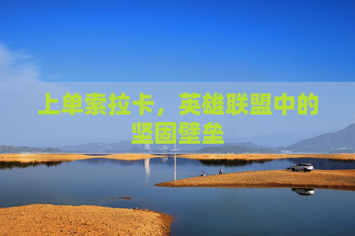 上单索拉卡,英雄联盟中的坚固壁垒 上单索拉卡,英雄联盟中的坚固壁垒