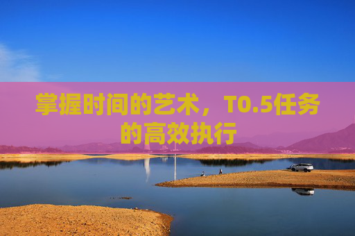 掌握时间的艺术,T0.5任务的高效执行 掌握时间的艺术,T0.5任务的高效执行