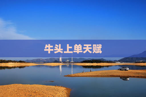 牛头上单天赋