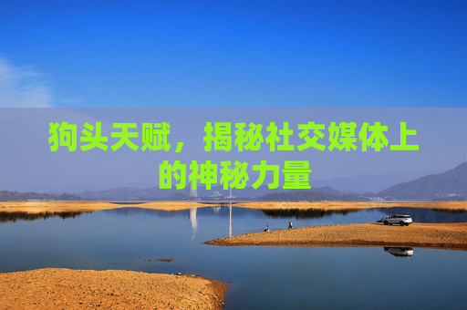 狗头天赋，揭秘社交媒体上的神秘力量