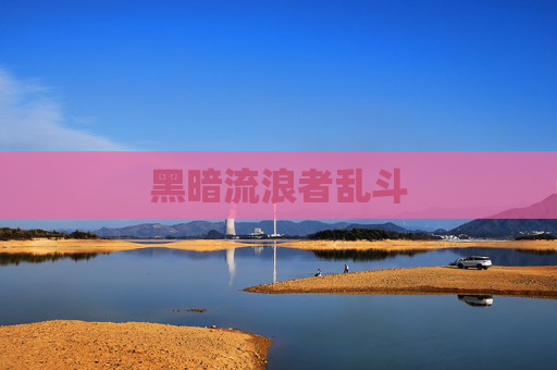 黑暗流浪者乱斗