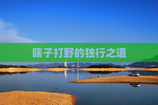 瞎子打野的独行之道