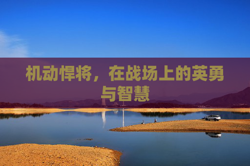机动悍将，在战场上的英勇与智慧