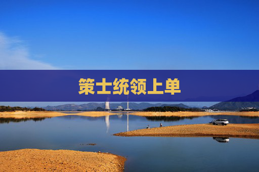 策士统领上单