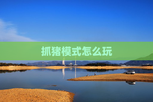 抓猪模式怎么玩