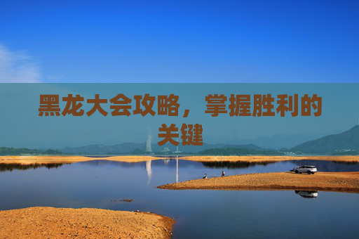 黑龙大会攻略,掌握胜利的关键 黑龙大会攻略,掌握胜利的关键