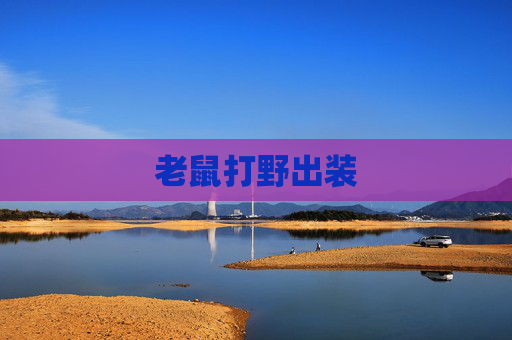 老鼠打野出装