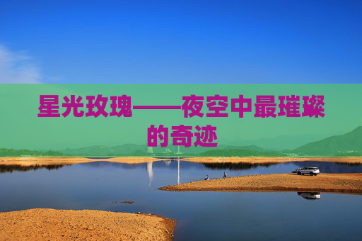 星光玫瑰——夜空中最璀璨的奇迹