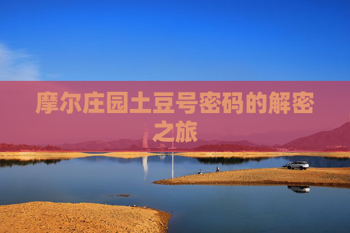 摩尔庄园土豆号密码的解密之旅