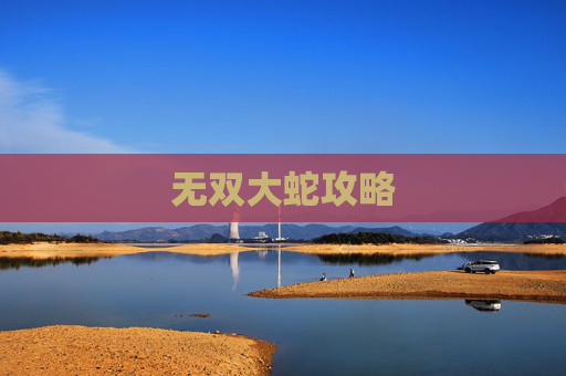 无双大蛇攻略 无双大蛇攻略