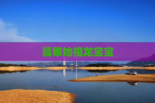 翡翠始祖龙宝宝 翡翠始祖龙宝宝