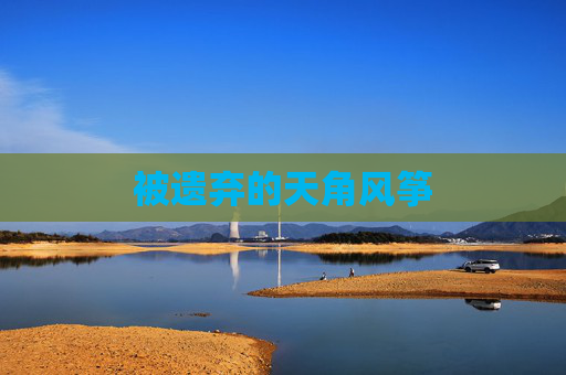 被遗弃的天角风筝 被遗弃的天角风筝