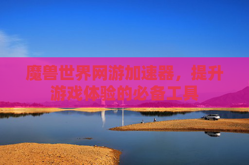 魔兽世界网游加速器,提升游戏体验的必备工具 魔兽世界网游加速器,提升游戏体验的必备工具