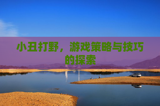 小丑打野,游戏策略与技巧的探索 小丑打野,游戏策略与技巧的探索