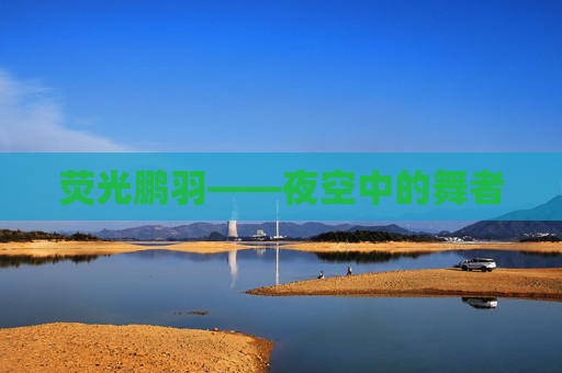 荧光鹏羽——夜空中的舞者