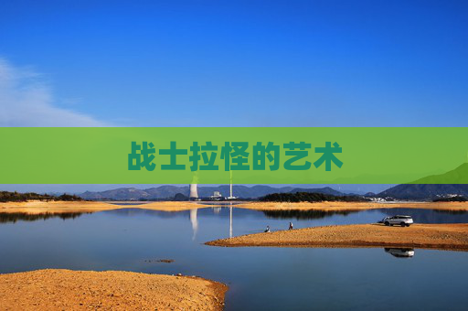 战士拉怪的艺术 战士拉怪的艺术