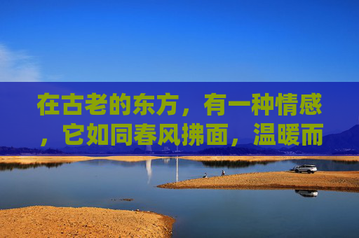 在古老的东方，有一种情感，它如同春风拂面，温暖而细腻。这便是兄华，一种源于血脉的深情厚谊。在中国传统文化中，兄华不仅仅是兄弟之间的亲情，更是一种责任与担当，一种对家庭、对社会的承诺