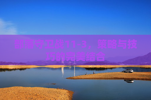 部落守卫战11-3，策略与技巧的完美结合