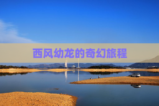 西风幼龙的奇幻旅程