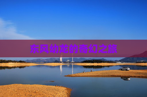 东风幼龙的奇幻之旅 东风幼龙的奇幻之旅