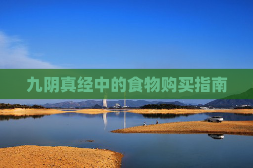 九阴真经中的食物购买指南 九阴真经中的食物购买指南
