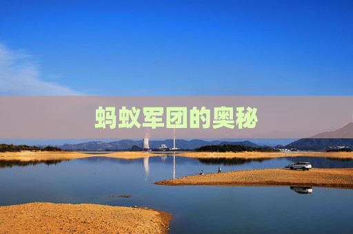 蚂蚁军团的奥秘 蚂蚁军团的奥秘