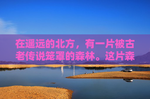 在遥远的北方,有一片被古老传说笼罩的森林。这片森林被称为夜魔兽森林,因为每当月圆之夜,森林中就会出现一种神秘的生物——夜魔兽 在遥远的北方,有一片被古老传说笼罩的森林。这片森林被称为夜魔兽森林,因为每当月圆之夜,森林中就会出现一种神秘的生物——夜魔兽