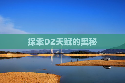 探索DZ天赋的奥秘 探索DZ天赋的奥秘