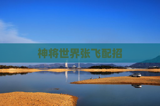 神将世界张飞配招 神将世界张飞配招