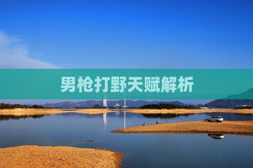 男枪打野天赋解析