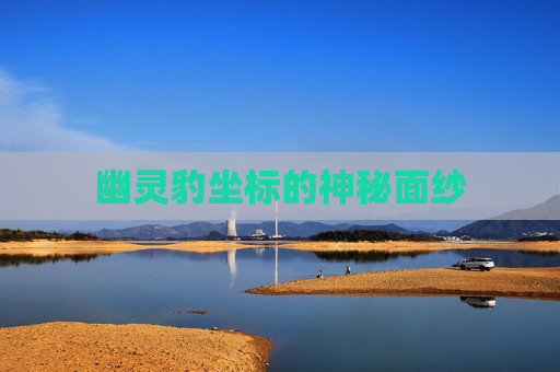 幽灵豹坐标的神秘面纱