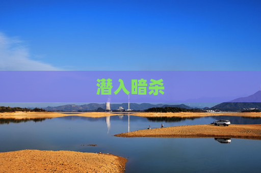 潜入暗杀 潜入暗杀
