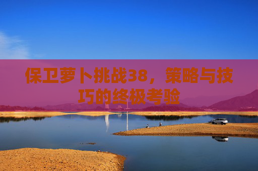 保卫萝卜挑战38，策略与技巧的终极考验