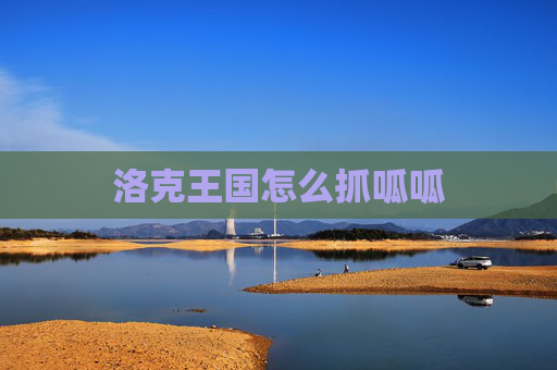 洛克王国怎么抓呱呱