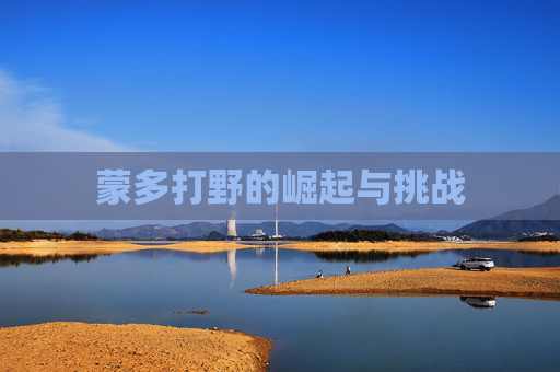 蒙多打野的崛起与挑战