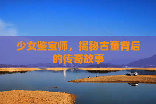 少女鉴宝师,揭秘古董背后的传奇故事 少女鉴宝师,揭秘古董背后的传奇故事