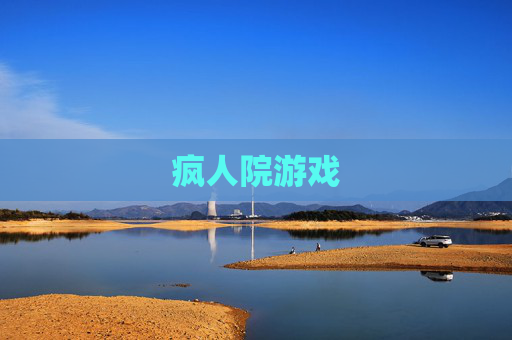 疯人院游戏 疯人院游戏