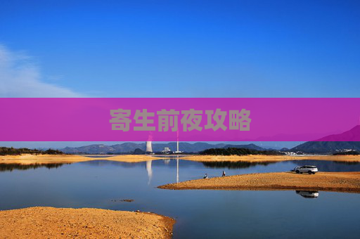 寄生前夜攻略