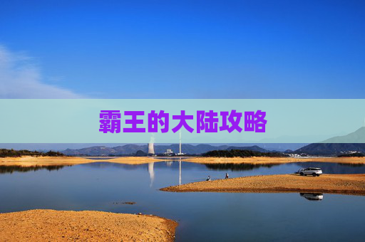 霸王的大陆攻略