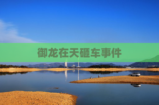 御龙在天砸车事件