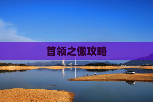 首领之傲攻略 首领之傲攻略