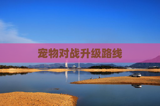 宠物对战升级路线